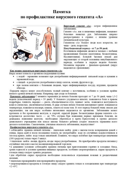 Вирусный гепатит «А» – острое инфекционное заболевание..